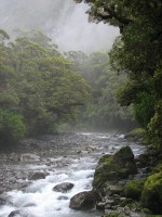 cascade-creek